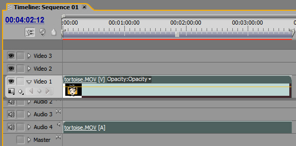 Audio and Video timelines.