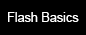Flash Basics